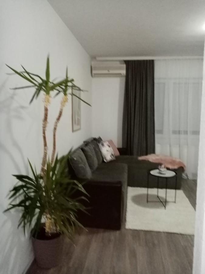 Aleksic Apartment *