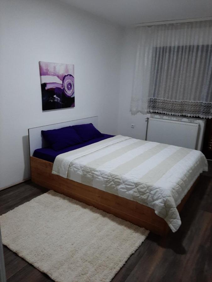 Aleksic Apartment