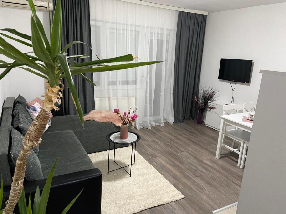 Apartment Aleksic