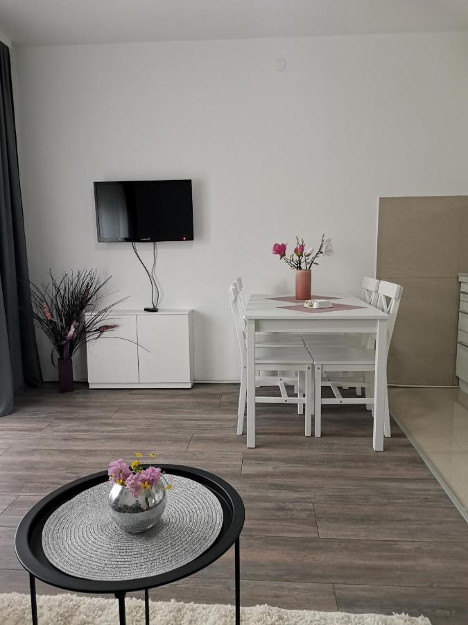 Apartment Aleksic