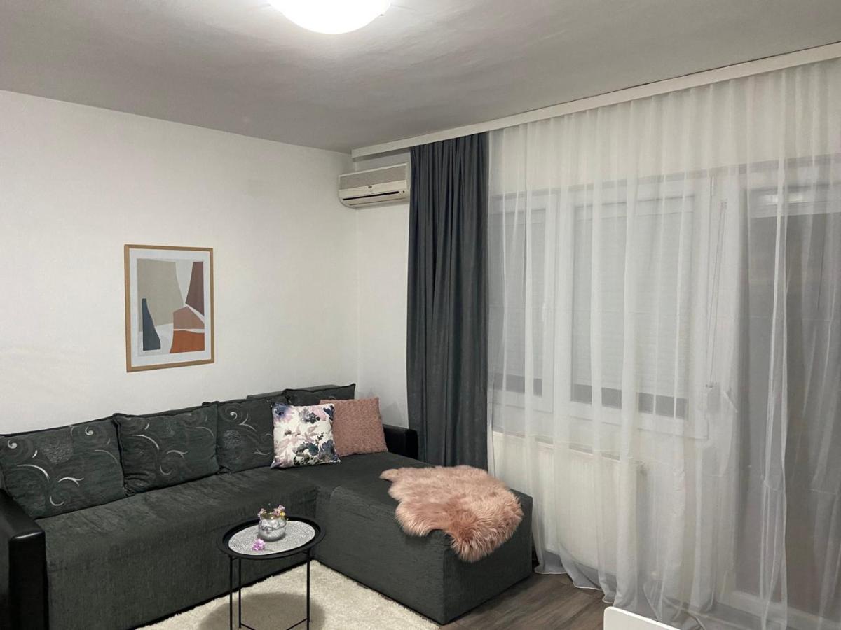Apartment Aleksic