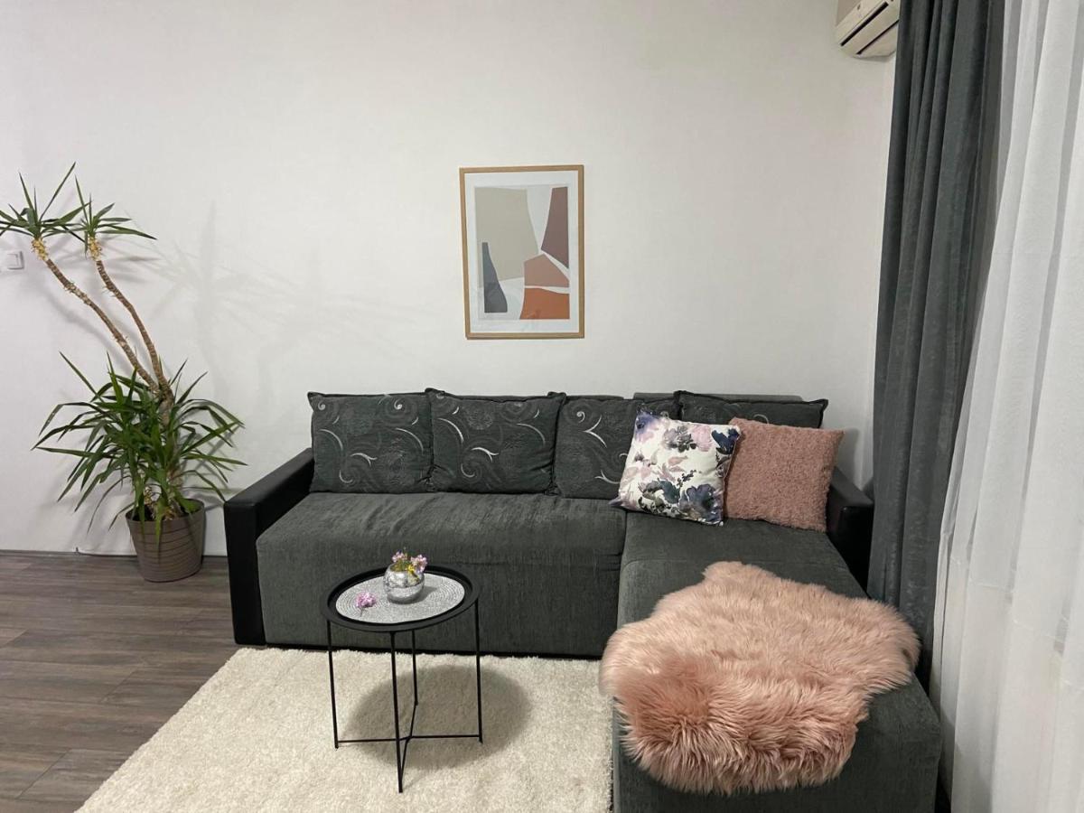 Aleksic Apartment